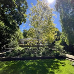 Für jene - die nicht mehr suchen, sondern finden.