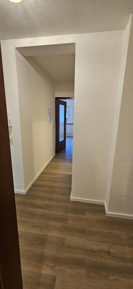 WG-Zimmer MA-Quadrate Marktplatz Nähe Uni und Uni-Klinikum – Bild 5