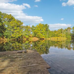 Besonderes Wohnen: Villa mit Seeblick, Wintergarten & Wellnessbereich