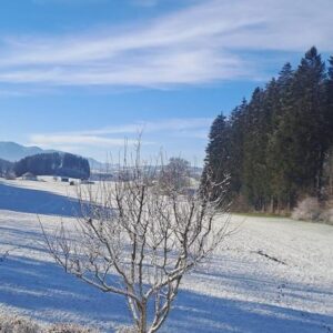 Einfamilienhaus im Allgäu