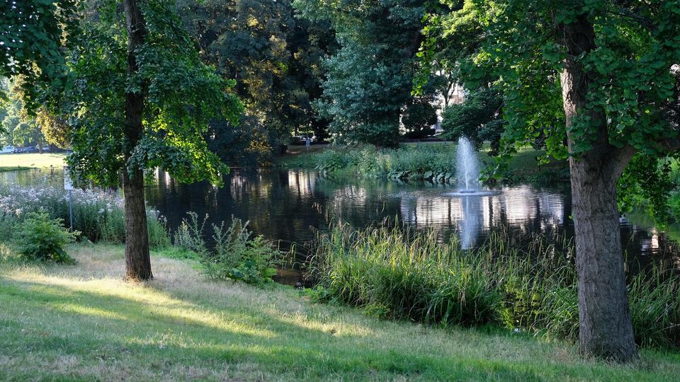 Wohnen in der City am Park mit Traumblick von Privat – Bild 33