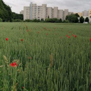 Gepflegte & sonnige 3,5-Zimmer-Penthaus Wohnung mit Weitblick in Stuttgart-Möhringen