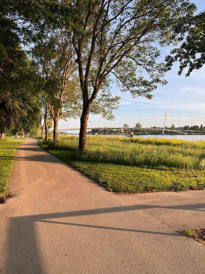 Wohnen, wo andere flanieren – Maisonette an der Rheinpromenade in Kehl – Bild 9