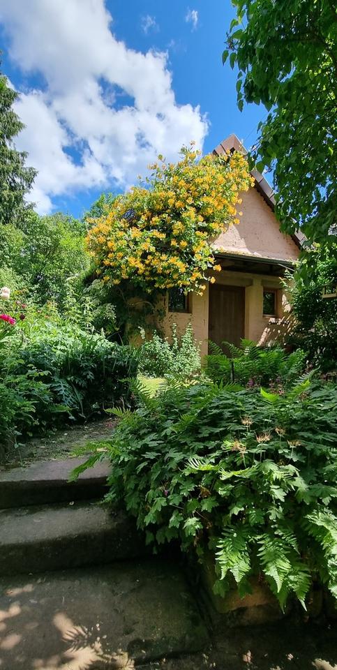 Charmantes großzügiges Fachwerkhaus, ein romantischer Garten und ein Hexenhaus, provisionsfrei – Bild 4
