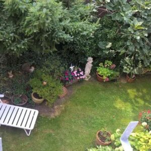 Hochwertiges PENTHOUSE mit 40 qm Süd-Dach-Terrasse, Einbau-Küche und -Schänken, Parkett