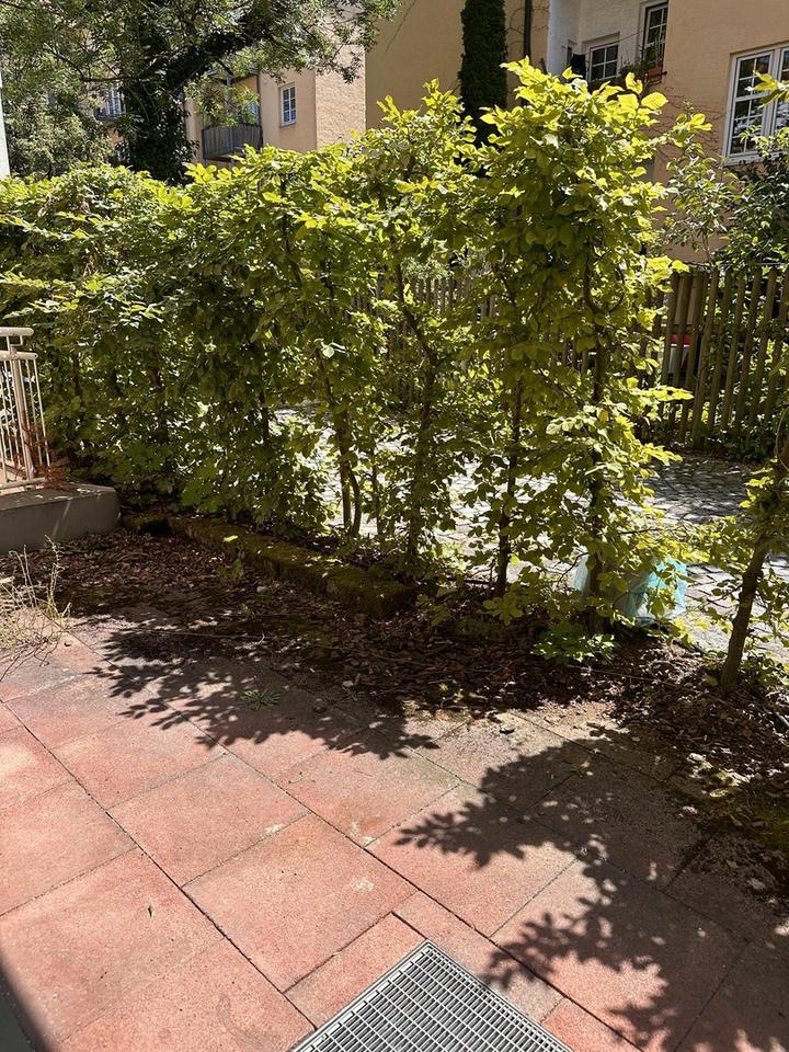 Zimmer in Wohngemeinschaft München Laim, S-Bahn Nähe, eigener Minigarten Süd-West