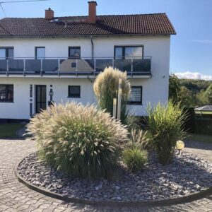 Ein- bis Zweifamilienhaus mit großem Grundstück