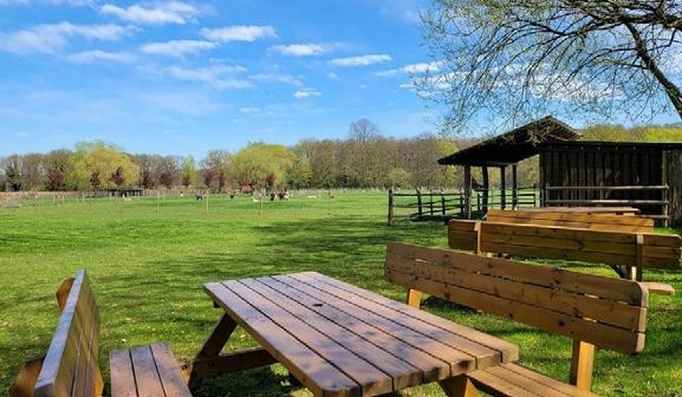 Provisionsfrei Exklusiver Vierkanthof Nähe Düsseldorf – Bild 34