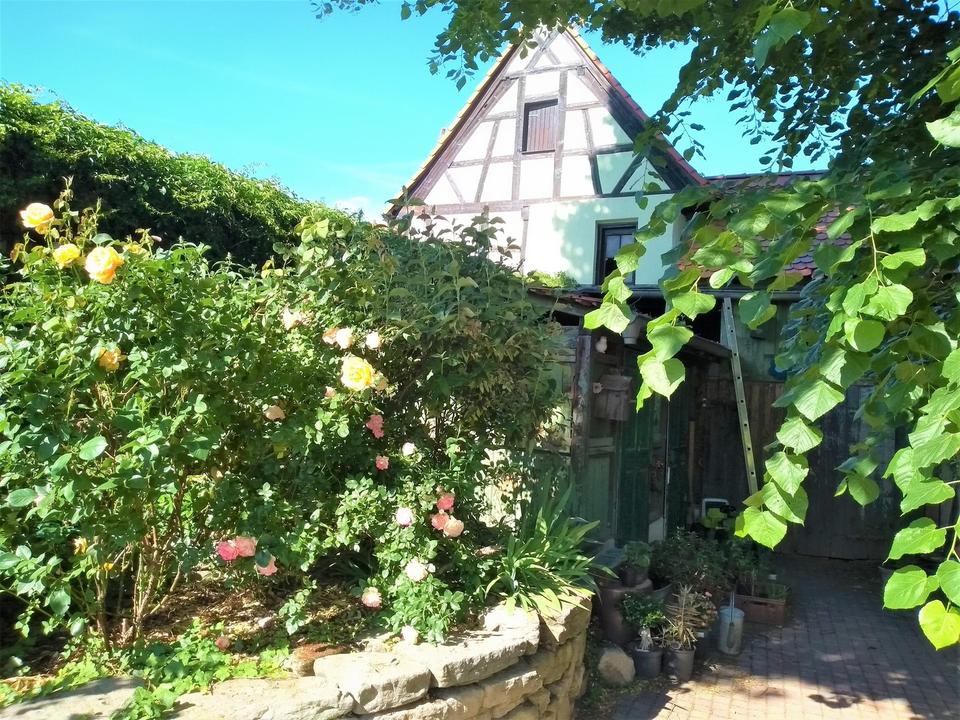 romantischer Gasthof /Haus mit Tanzsaal u 3 Wohnungen-saniert! Preis auf Anfrage. – Bild 27