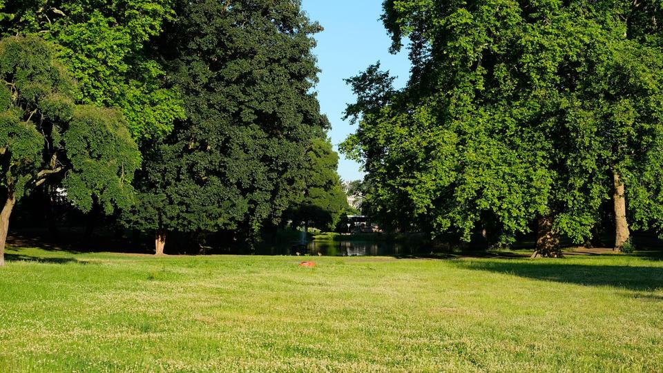 Wohnen in der City am Park mit Traumblick von Privat – Bild 30