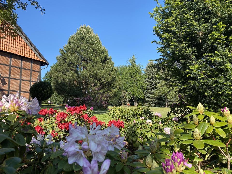 Wohnen im Landhausstil - direkt vom Eigentümer - provisionsfrei – Bild 3