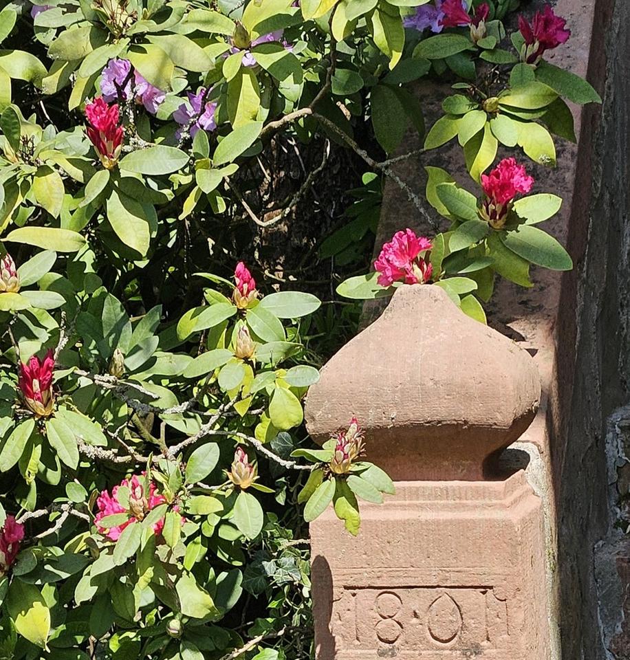 Charmantes großzügiges Fachwerkhaus, ein romantischer Garten und ein Hexenhaus, provisionsfrei – Bild 5