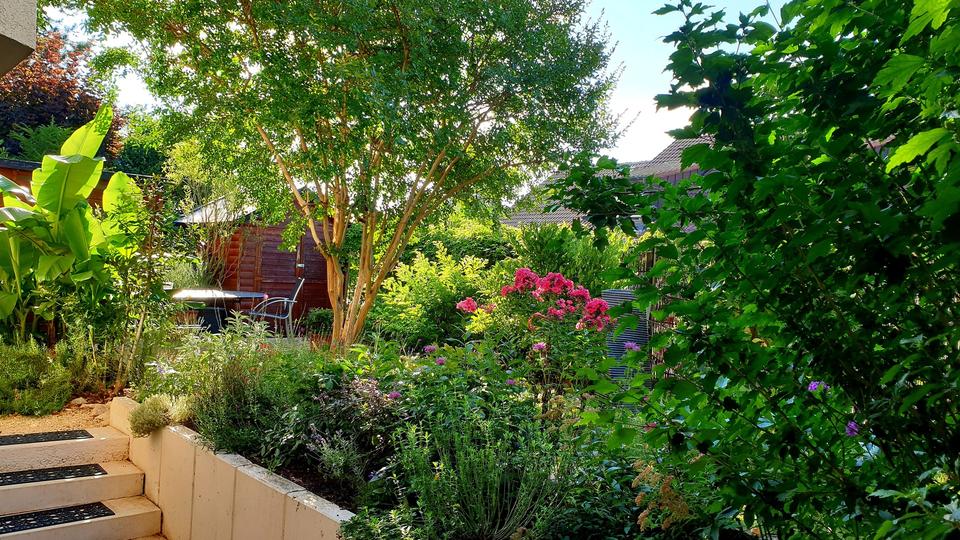 *Top Angebot* Exklusives Architektenhaus (3 Wohneinheiten) mit Garten u. Garage in Herten (Baden) – Bild 17