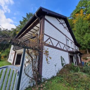 Großzügiges Einfamilienhaus mit Einliegerwohnung in bester und ruhiger Süd-und Waldrandlage