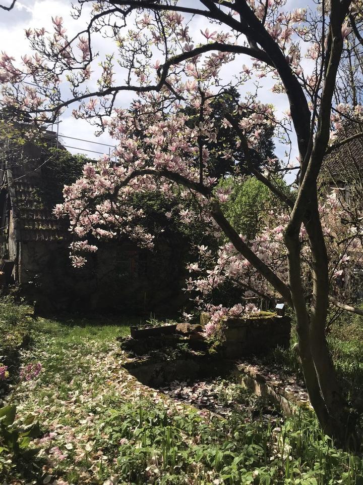 Charmantes großzügiges Fachwerkhaus, ein romantischer Garten und ein Hexenhaus, provisionsfrei – Bild 30