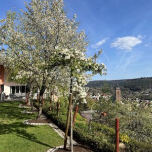 Villa in Südlage mit Weitblick - Provisionsfrei!