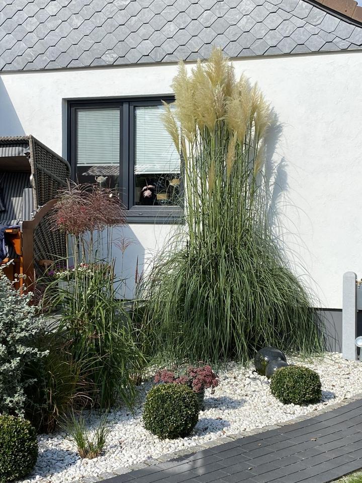 Traum- Bungalow mit Einliegerwohnung in Mölln – modern & gepflegt – Bild 21