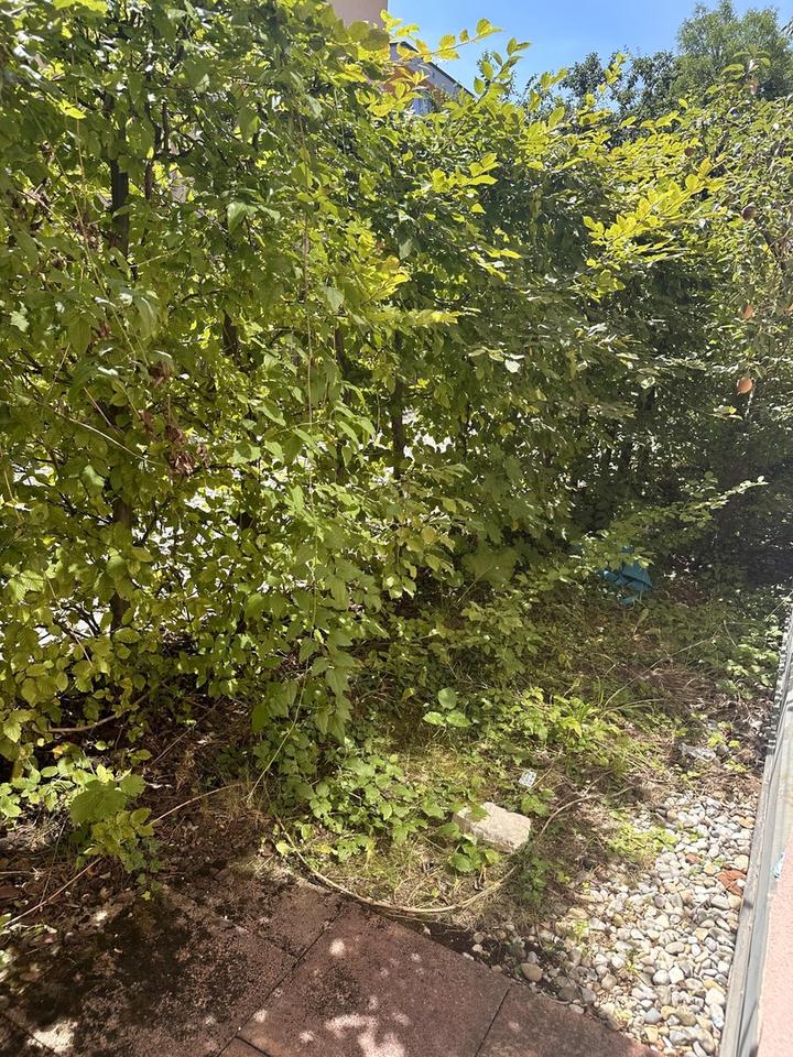 Zimmer in Wohngemeinschaft München Laim, S-Bahn Nähe, eigener Minigarten Süd-West – Bild 3