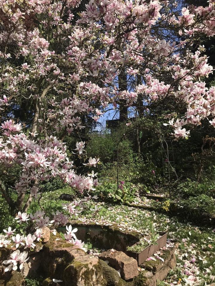 Charmantes großzügiges Fachwerkhaus, ein romantischer Garten und ein Hexenhaus, provisionsfrei – Bild 32