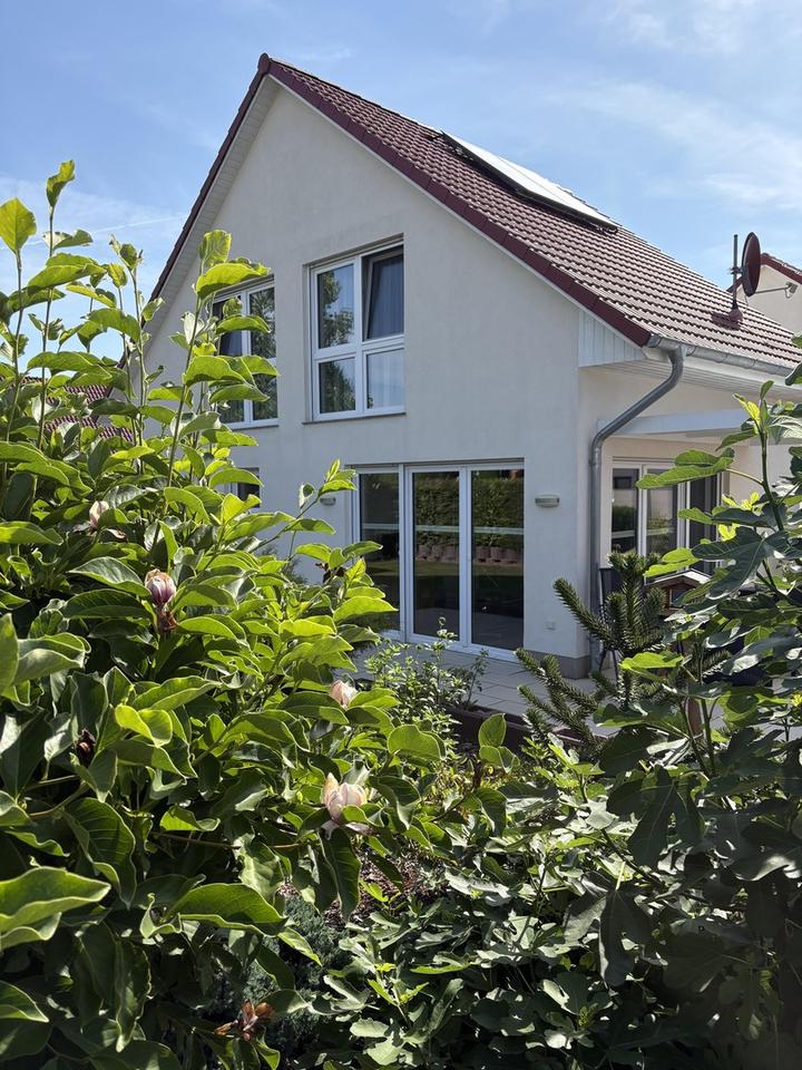 Zwei Einfamilienhäuser auf einem Grundstück in Waren(Müritz)