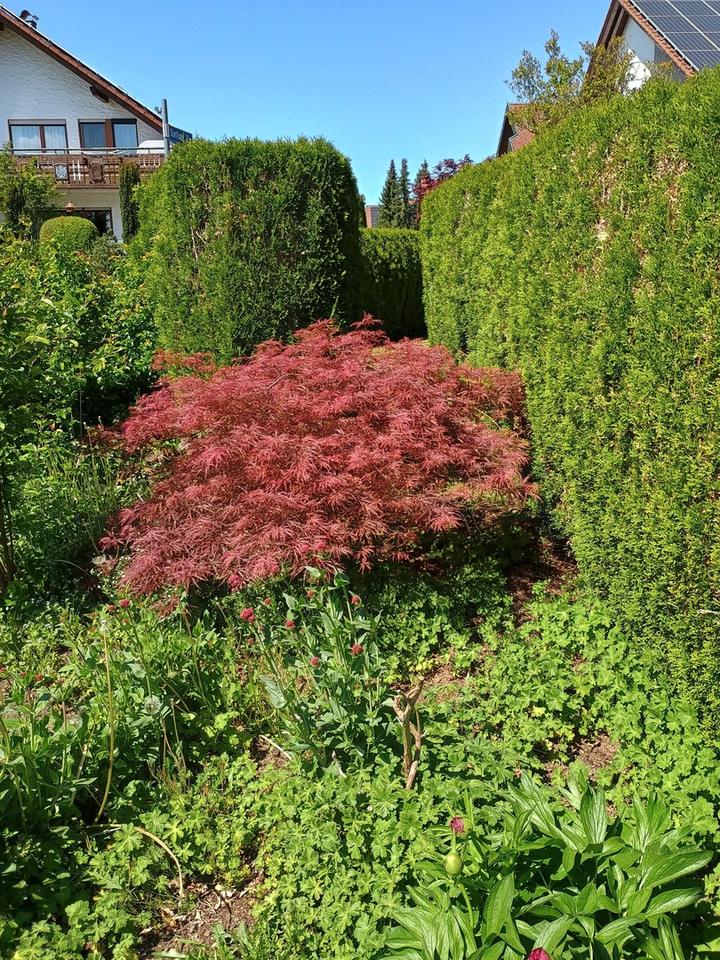 Zuhause am Platz an der Sonne – Bild 15