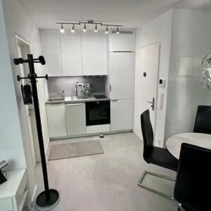 1 Zimmer Wohnung mit Vollausstattung, Erstbezug nach Grundsanierung Stuttgart Riedenberg Sillenbuch