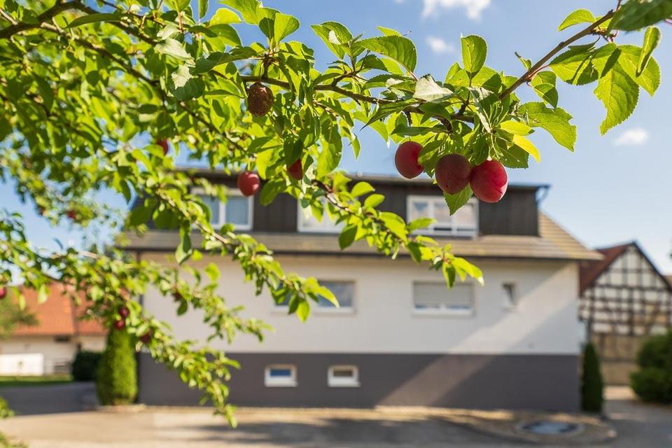 Attraktives MFH auf weitläufigem Grundstück mit großer Scheune - ruhig & renditestark – Bild 5