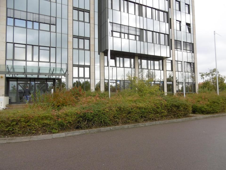 Der Preis-Leistungs-Sieger im Sachsen Park; Top-Büro 8,59€/m²kalt
