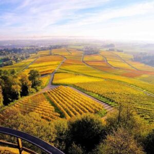 Doppelhaushälfte – Ideal für Ihre Familie!