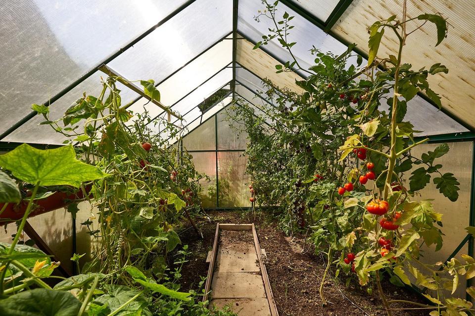 ATTRAKTIVES ANWESEN MIT WOHN- UND GEWERBEEINHEITEN IN LAUINGEN – Bild 35