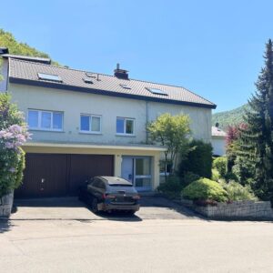 Privatverkauf Haus Lichtenstein gegen Gebot