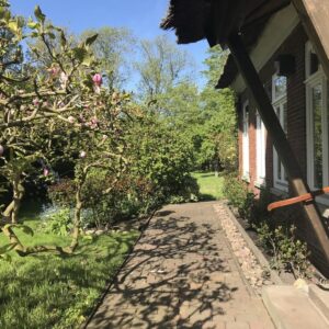 Großzügiges Anwesen unter Reet mit großem parkähnlichem Grundstück - vielseitig nutzbar.