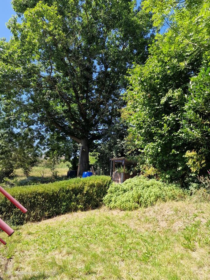 Doppelhaushälfte – Bild 3