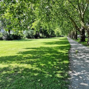 ***Renovierte 2 Zimmer Wohnung in Brake***