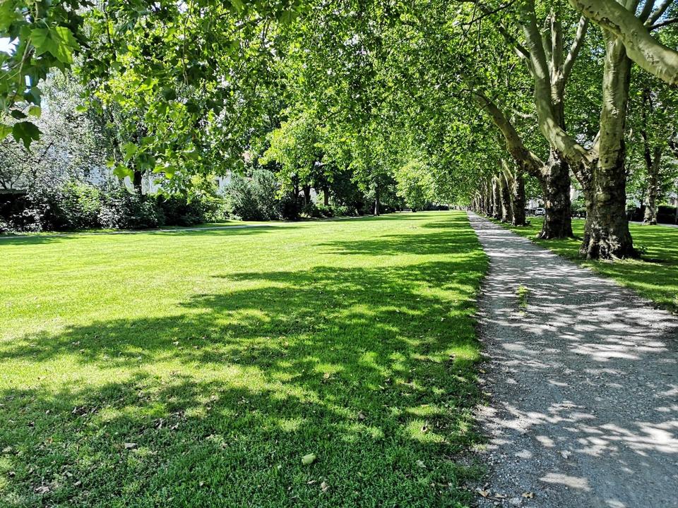 ***Renovierte 2 Zimmer Wohnung in Brake***