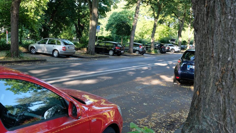 Wohnen in der City am Park mit Traumblick von Privat – Bild 29