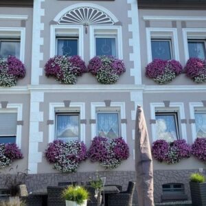 Liebevoll renoviertes Dreifamilienhaus in Hagen-Hohenlimburg von Privat zu verkaufen!