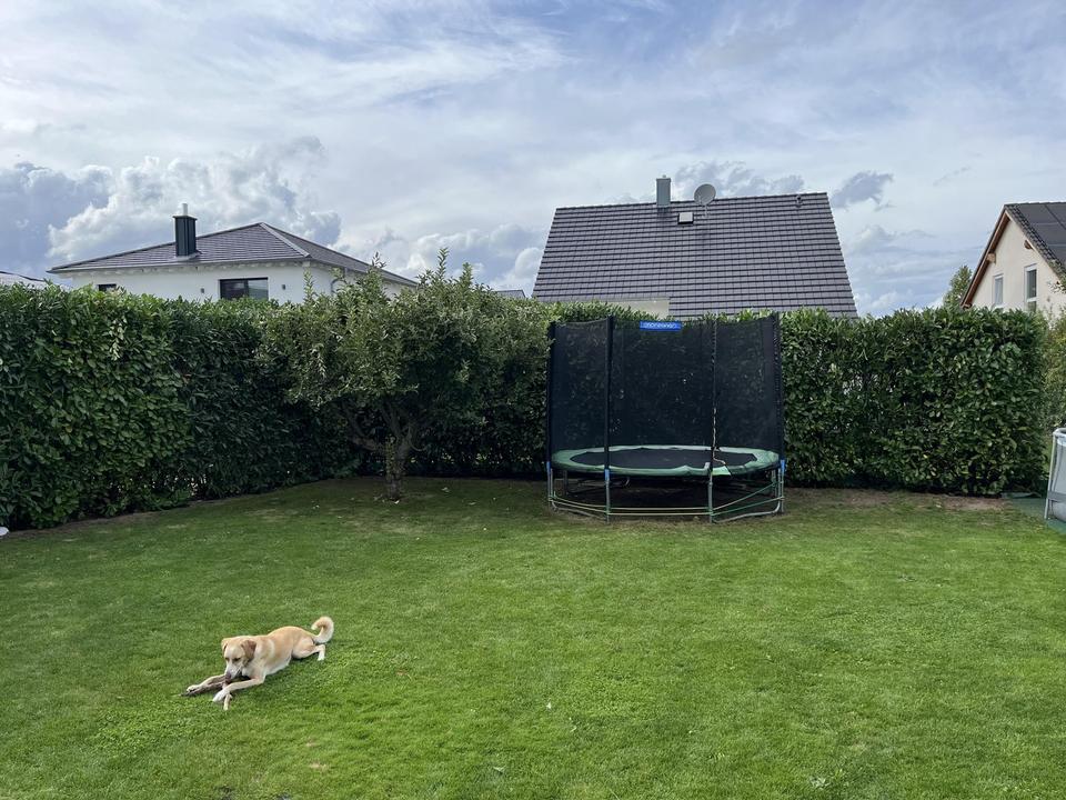 Modernes, freistehendes Einfamilienhaus in naturnaher Lage von Bürstadt – ideal für Familien – Bild 13