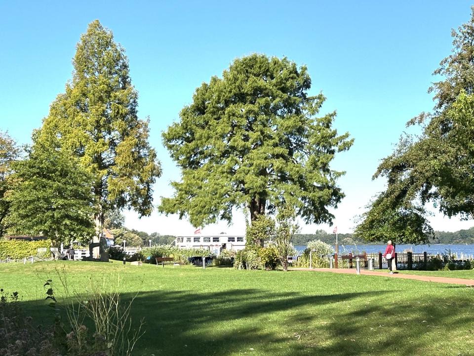 Wunderschöne Wohnung in Bad Zwischenahn – Bild 11