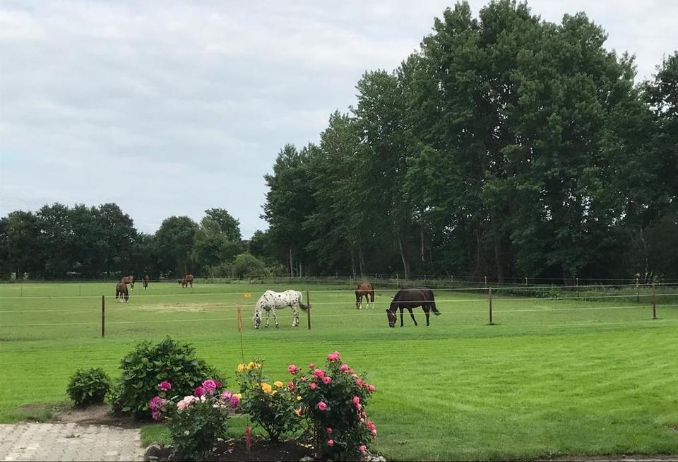 Wohnen, wo andere Urlaub machen (NUR Singlewohnung) – Bild 4