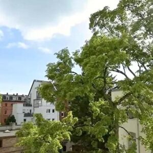 Kapitalanlage TOP! DA- Johannesviertel !!! Zwei Wohnungen - ganze Etage 151 m² - 6 Zimmer !!!