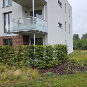 ERSTBEZUG! Traumhafte 3 ZiWo auf der Sonneninsel Usedom