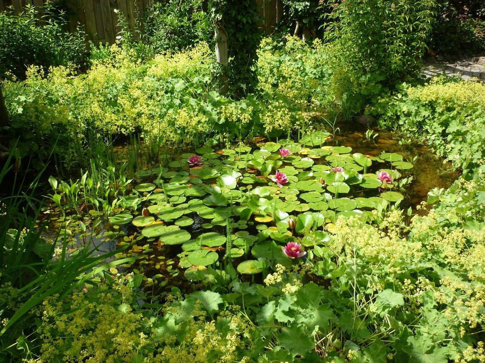 Solide u. gepflegt, Backsteinklassiker in Flensburgs Top-Lage, ohne Provision – Bild 8