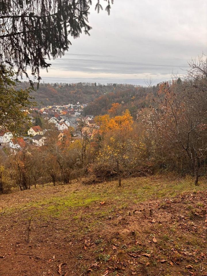 Wo Ruhe und Weitsicht Zuhause sind-Grundstück im Dürrbachtal – Bild 12