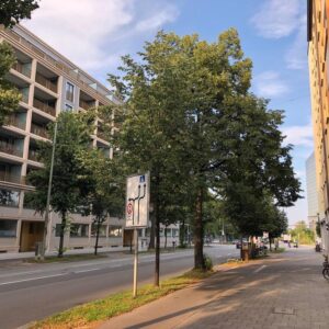 Hochwertig sanierte helle 3-Zimmer Wohnung mit großem Südbalkon