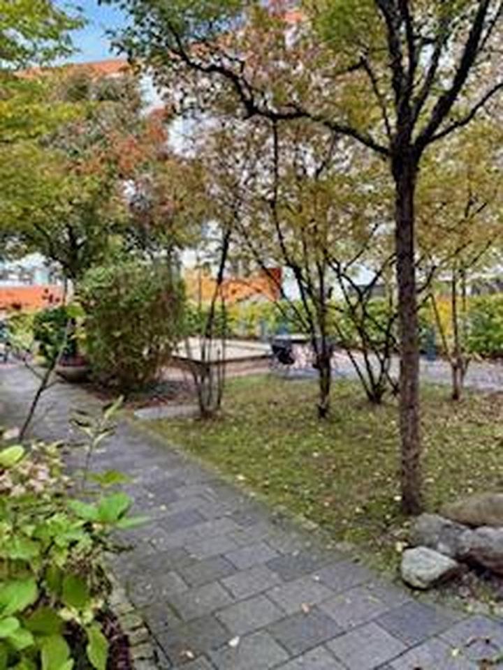 Terrassen 2-Zimmer-Wohnung/möbliert, zentral und ruhig mit Wohlfühlcharakter in Laim – Bild 4