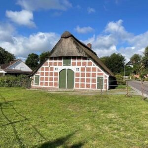 Reetdachhaus mit sep. Ferienhaus nh. dem Elbstrand Krautsand