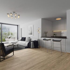 3 1/2 Zimmer Wohnung