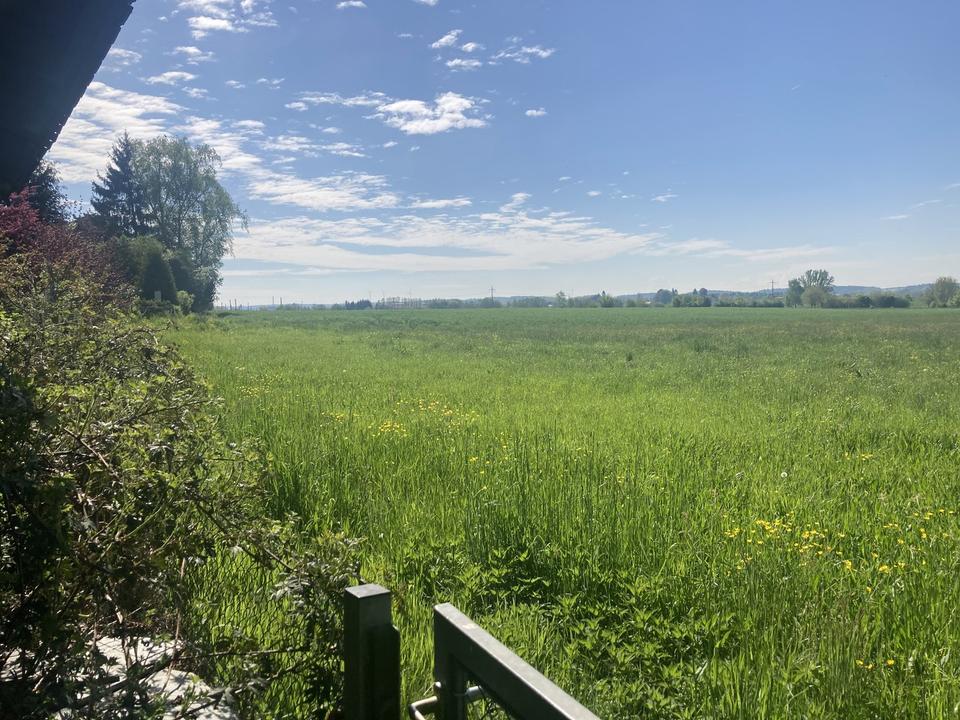 Das letzte seiner Art – Einfamilienhaus im Grünen – Bild 5