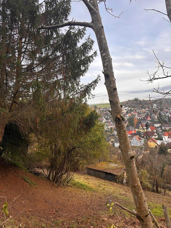 Wo Ruhe und Weitsicht Zuhause sind-Grundstück im Dürrbachtal – Bild 9